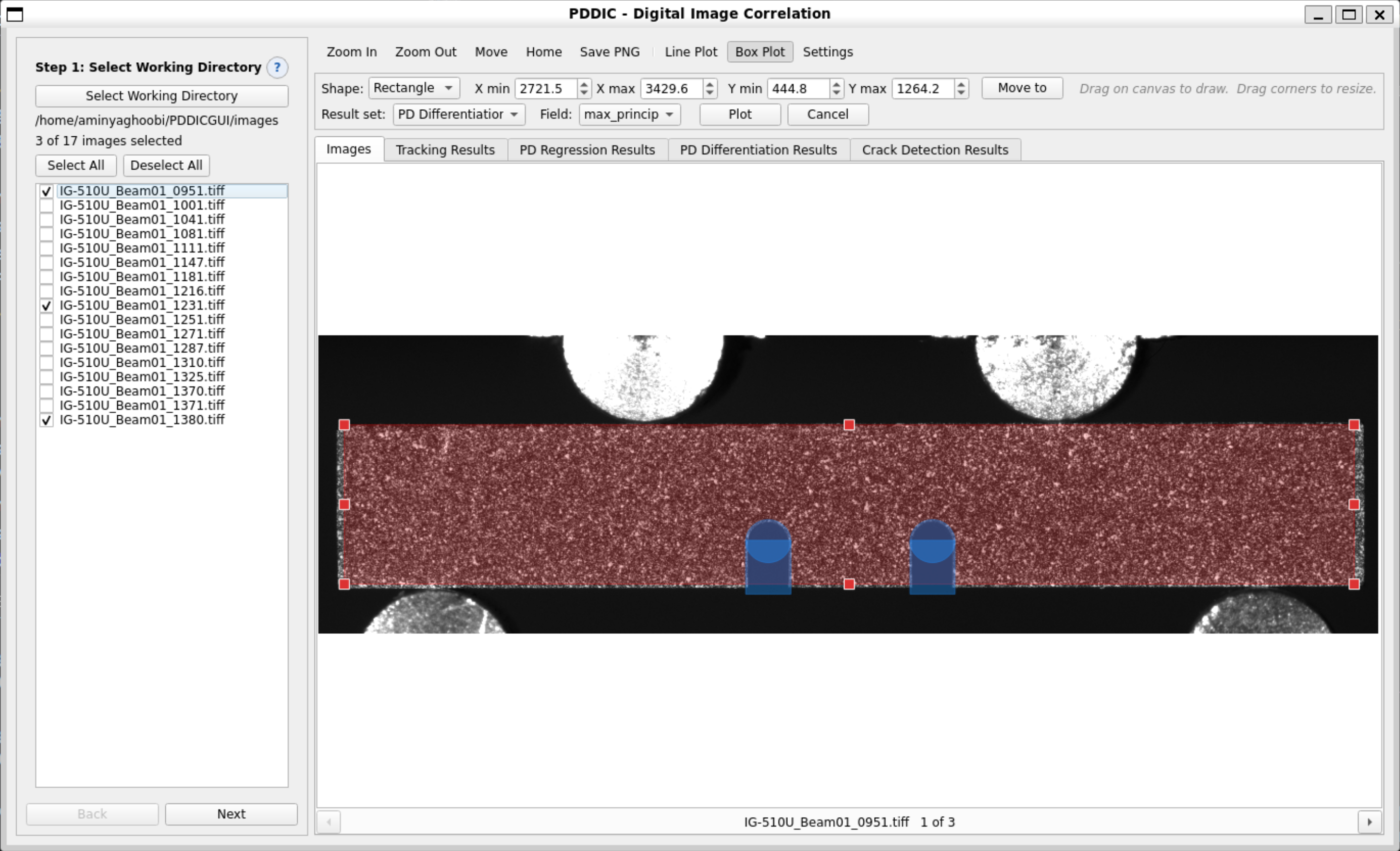 Step 1 — image selection with the analysis domain and cut-outs drawn on the speckled specimen